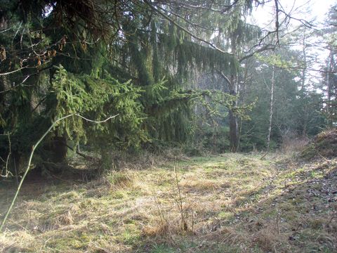 Foto 33